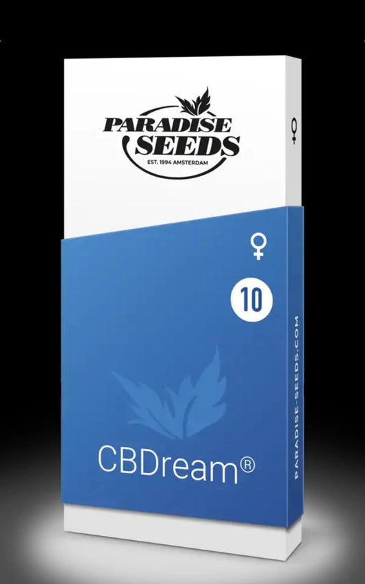 3 graines de cbd sweet lullaby